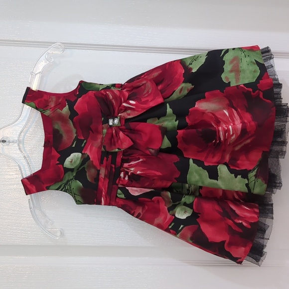GORGEOUS 😍 3T Dress!! - Picture 1 of 10